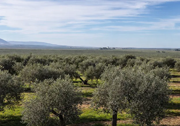Agricultura en exterior