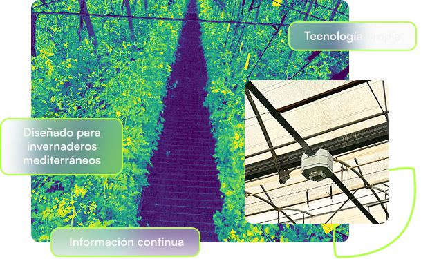 Visual del enfoque Grodi