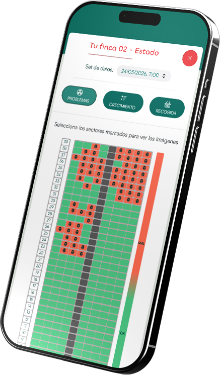 Pantalla app derecha